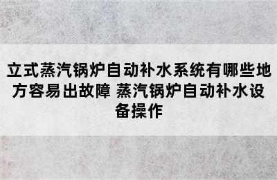 立式蒸汽锅炉自动补水系统有哪些地方容易出故障 蒸汽锅炉自动补水设备操作